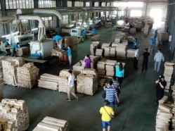 В провинции Хэйлунцзян введен запрет  на лесозаготовки